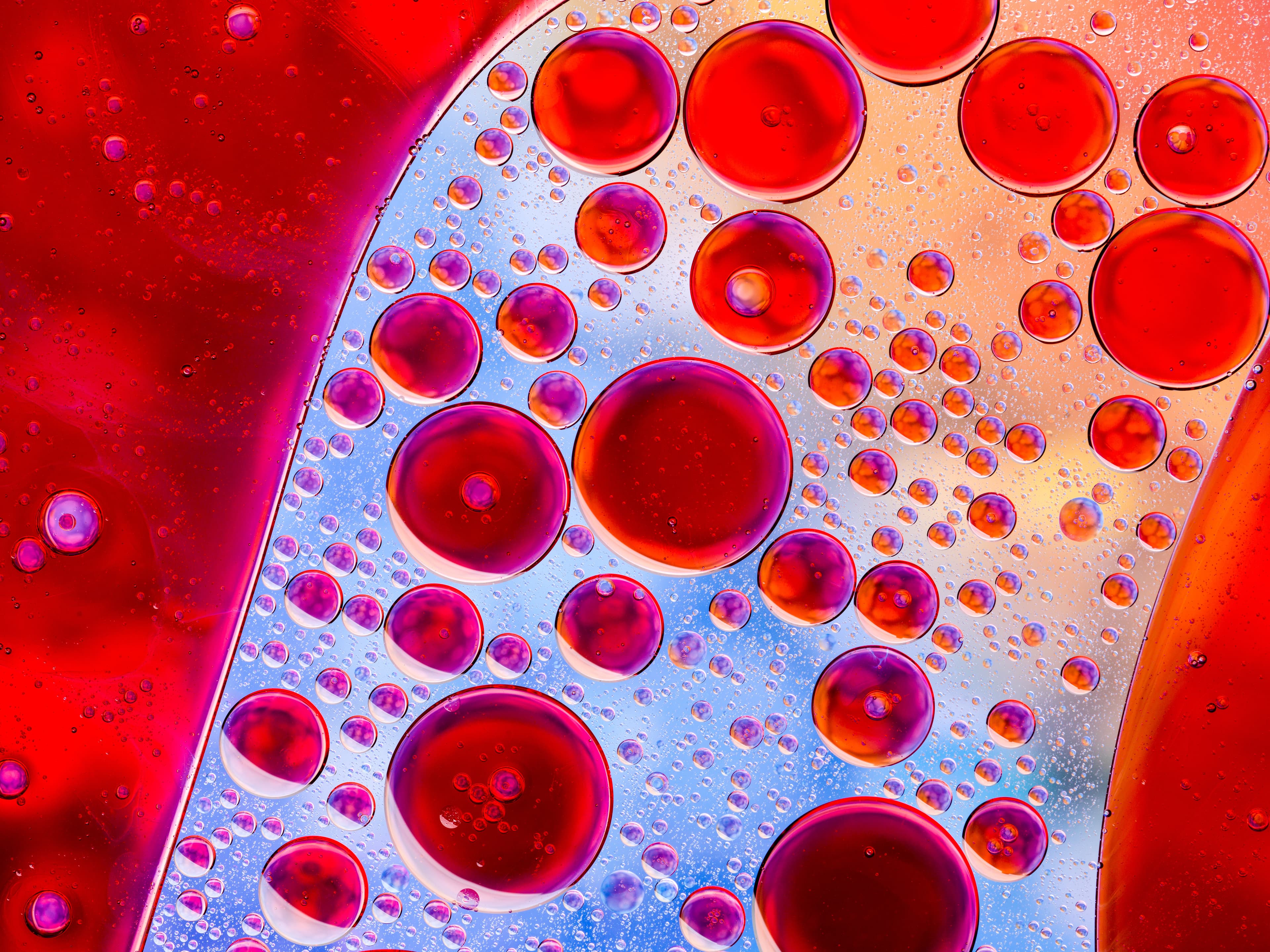 Macro close-up of colorful oil bubbles or cells floating in liquid, creating a vivid red and blue abstract pattern.